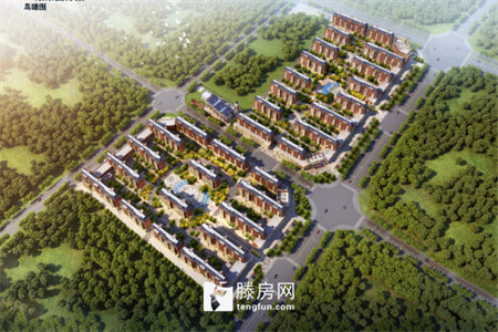 标准北辛学区赵王河小区三室学校正对门